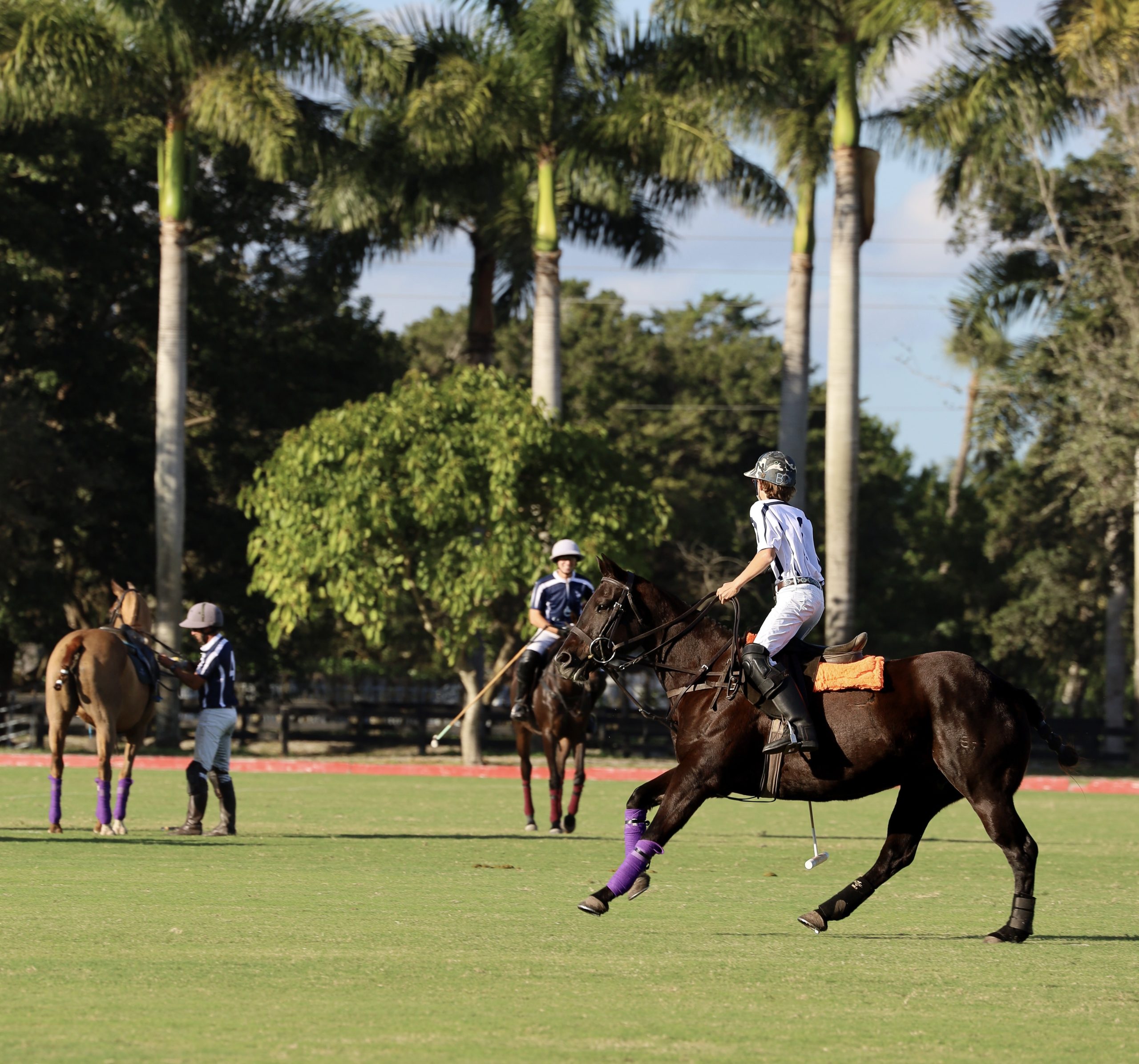 Polo Lifestyle